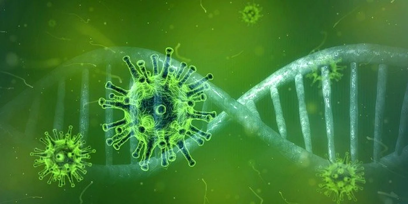 La Călăraşi nu a fost confirmat niciun caz cu COVID-19 FOTO Shutterstock