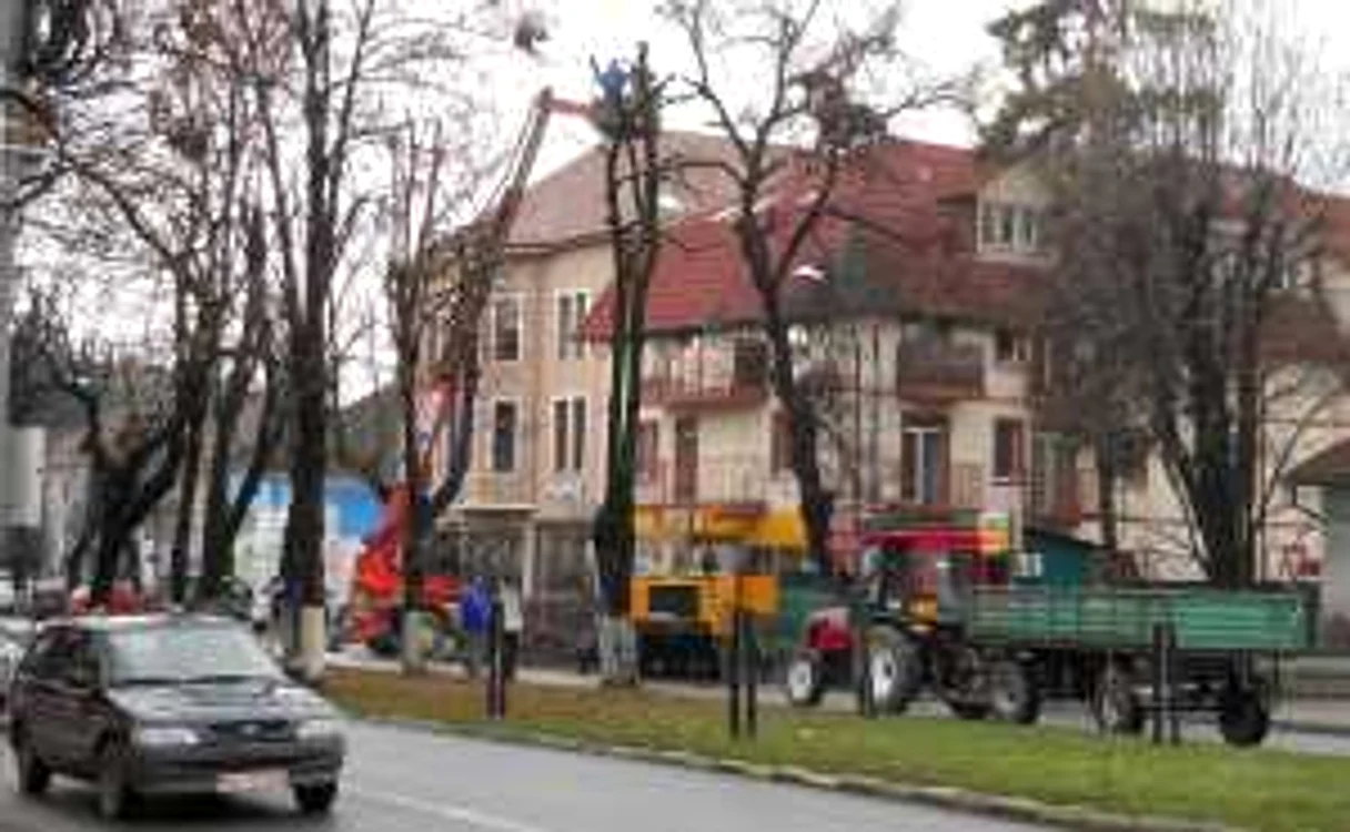 FOTO: Arhivă
