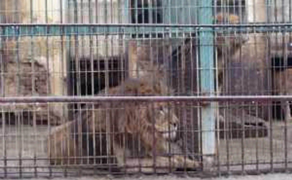 Grădina Zoologică va fi extinsă