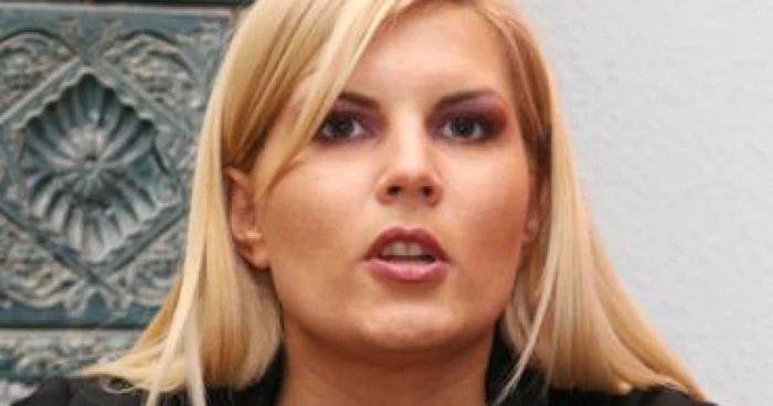 Elena Udrea: "Bugetul alcătuit de Guvern nu prevede modificarea TVA-ului"