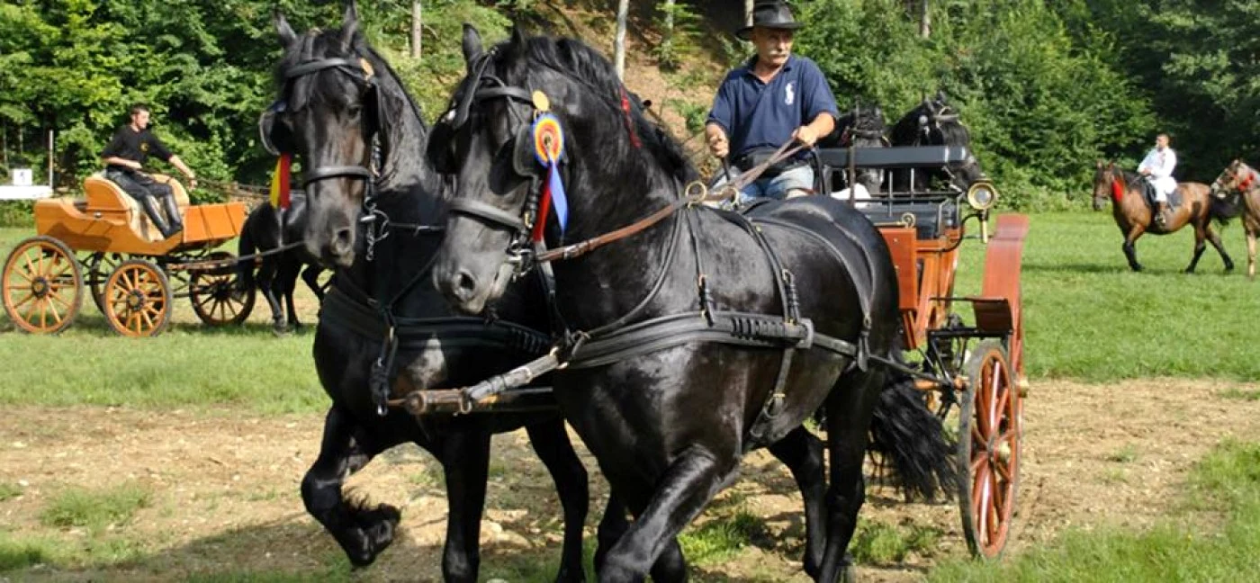 Constantin Ducar şi caii lui Foto: Centrul de Echitaţie Diana