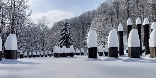 Sarmizegetusa regia in zapada Foto Sorin Zgăvârdean (3) jpg