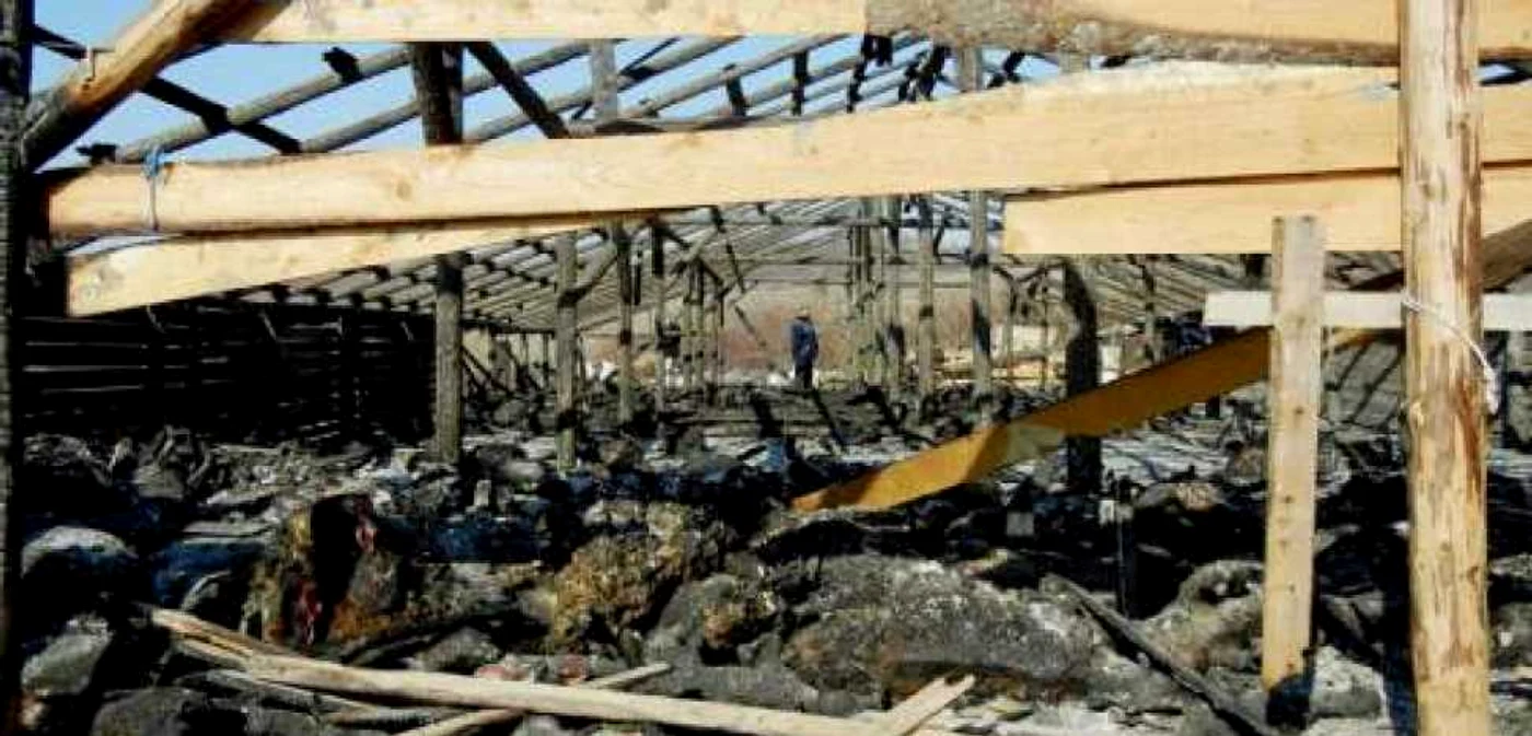 Aproape 600 de animale au pierit arse de vii la Crişeni FOTO ISU Sălaj