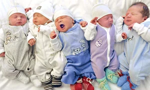 CLIIMA20121129 0092 1 jpeg