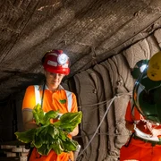 Science and Technology Facilities Council (STFC) Boulby Underground Laboratory jpg