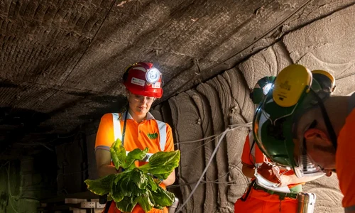 Science and Technology Facilities Council (STFC) Boulby Underground Laboratory jpg