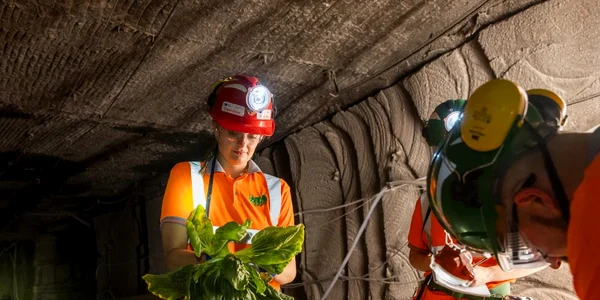 Science and Technology Facilities Council (STFC) Boulby Underground Laboratory jpg