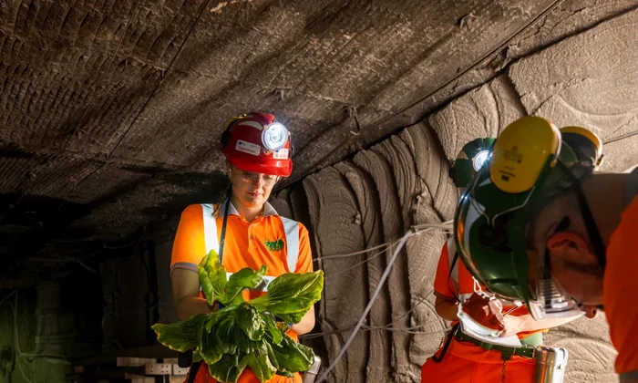 Science and Technology Facilities Council (STFC) Boulby Underground Laboratory jpg