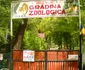 zoo barlad