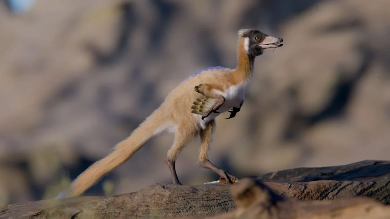 O fosilă de dinozaur de acum 90 de milioane de ani „rescrie” istoria evoluției.