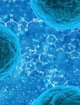 1 bacteria 163711 1280 jpg jpeg