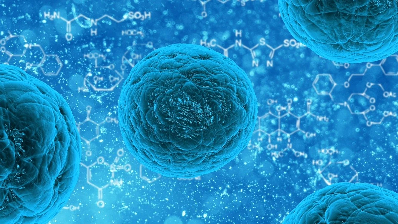 1 bacteria 163711 1280 jpg jpeg