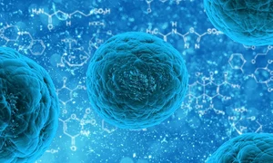 1 bacteria 163711 1280 jpg jpeg