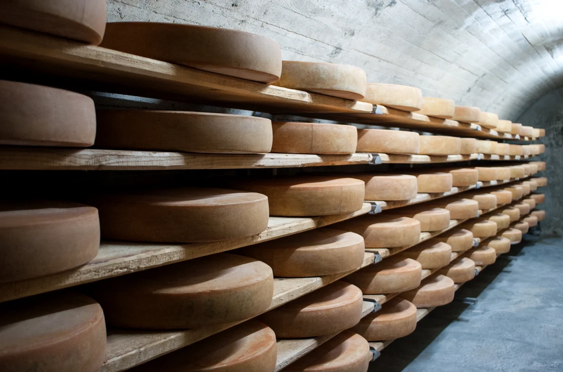 Jaful celor 22 de tone de brânză cheddar a impus măsuri de securitate excepționale. Foto: Pixabay