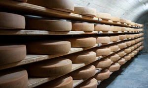 5056468 cheese 2217642 jpg