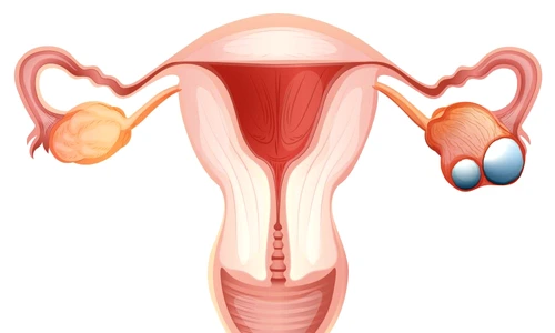 1 74751 original jpg jpeg