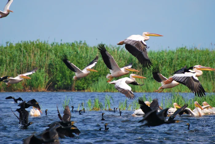 click delta dunarii 06 02 2017 2 png