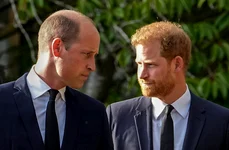 Prințul William vs Prințul Harry   profimedia 0844371978 jpg