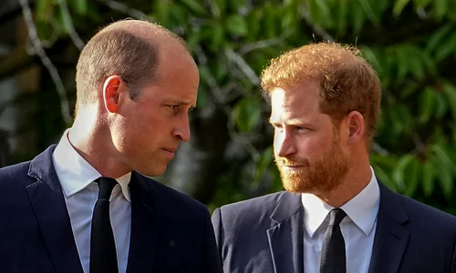 Prințul William vs Prințul Harry   profimedia 0844371978 jpg