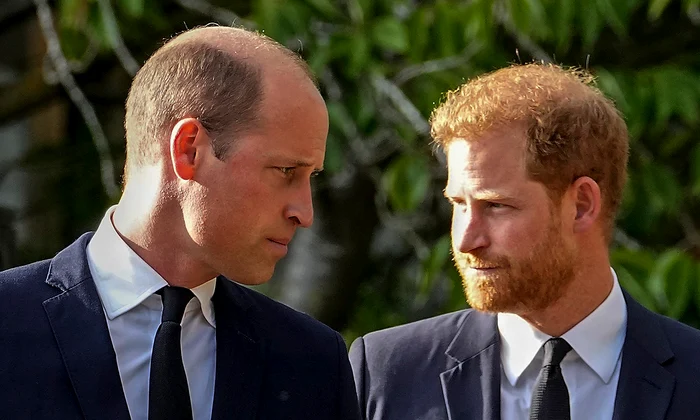 Prințul William vs Prințul Harry   profimedia 0844371978 jpg