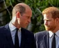 Prințul William vs Prințul Harry. FOTO: Profimedia