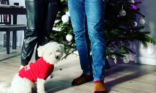 3 stefan stan si fetita sa jpg jpeg