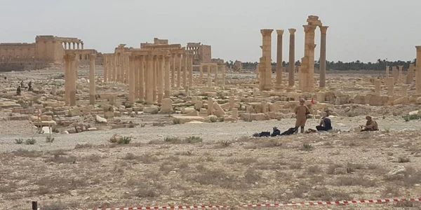 reportaj palmyra foto tvr