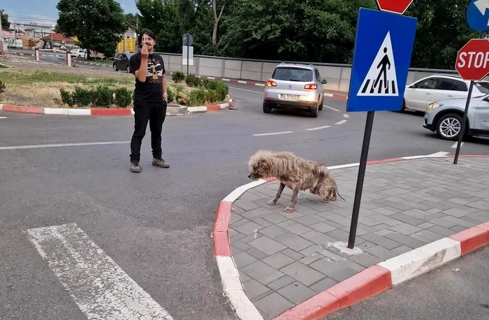 Calvin abia mai reușea să stea în picioare FOTO: Ajutați-l pe Lăbuș