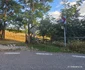 Drumuri din Munții Apuseni  Foto Daniel Guță  ADEVĂRUL (8) jpg