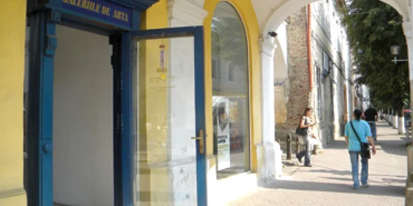 Academia de trei zile de la Bistriţa