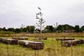 cimitir ecologic1 jpg