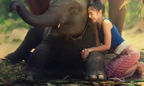 1 shutterstock 690040288 jpg jpeg