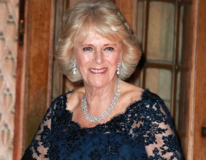 Ducesa Camilla, strălucitoare din cap până în picioareFoto: Getty