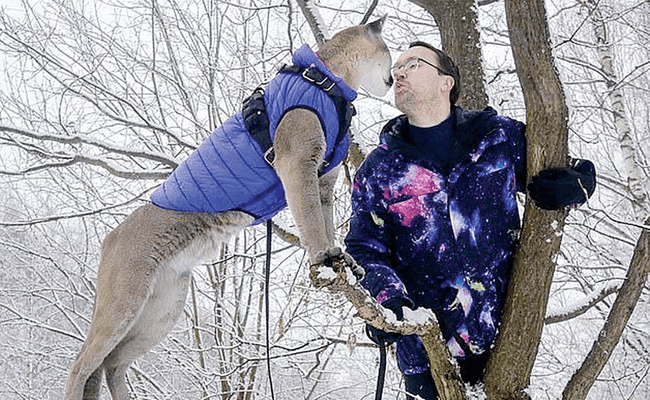 Content image