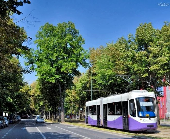 tramvaie timisoara armonia foto victor szilaghi