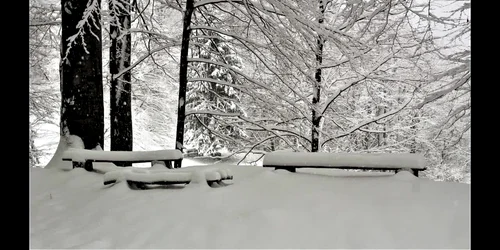 5c121126df52022f756aadd3 jpg