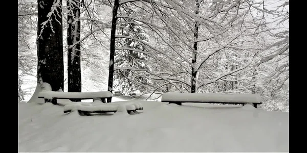 5c121126df52022f756aadd3 jpg
