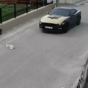 62537972 jpg