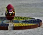 Râmnicu Vâlcea ornat cu ouă gigant pentru sărbătorile pascale Foto Gaby Henning