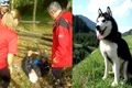 husky jpeg