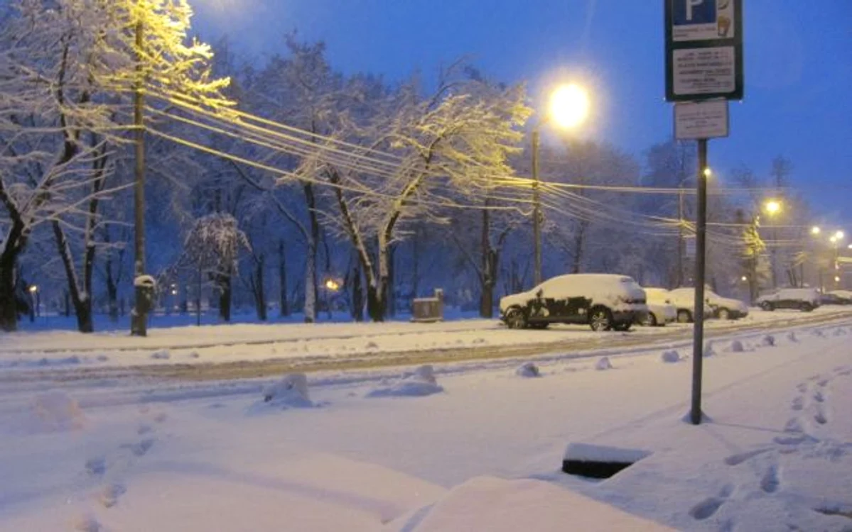 Zăpada de la Timişoara