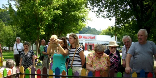 targ adoptii canine resita