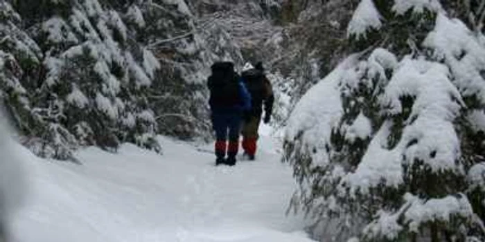 Alternativa iubitorilor muntelui în cazul închiderii traseelor montane ar fi folosirea pârtiilor din staţiunile judeţului
