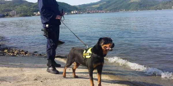 caine politia de frontiera mehedinti FOTO Alexandra Georgescu 