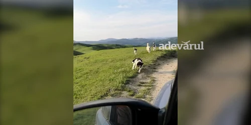 WhatsApp Video 2023 06 06 at 10 33 43 1 mp4 thumbnail png