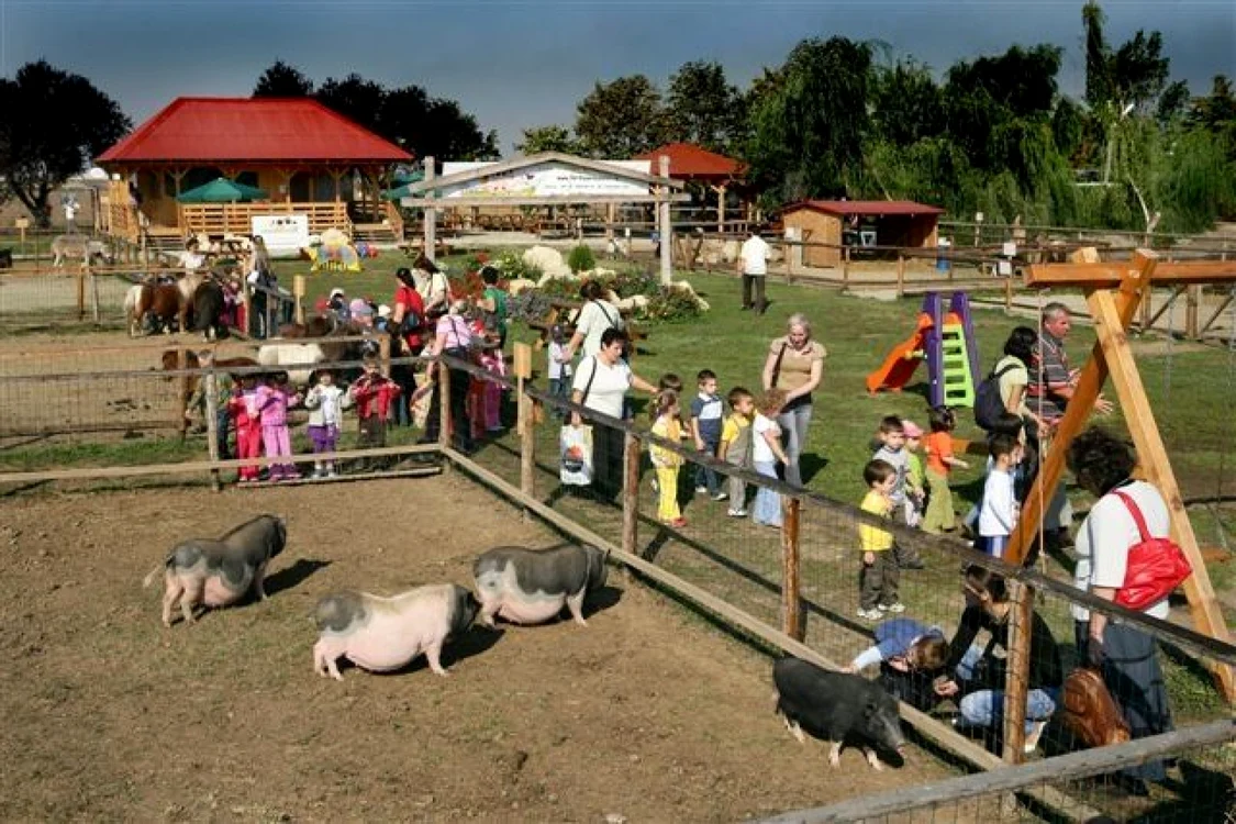 Ferma animalelor, distracție pentru o zi