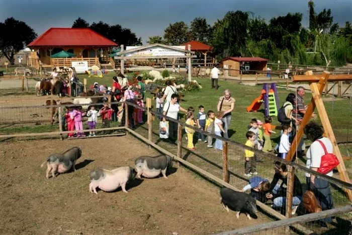 Ferma animalelor, distracție pentru o zi