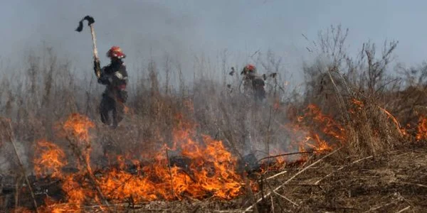 Pompierii se luptă să stingă flăcările (foto arhivă)