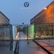 perchezitii dosar eutanasiere caini fara stapan captura Politia R png