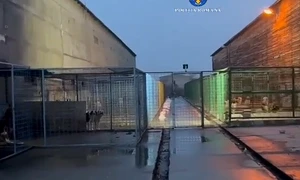 perchezitii dosar eutanasiere caini fara stapan captura Politia R png